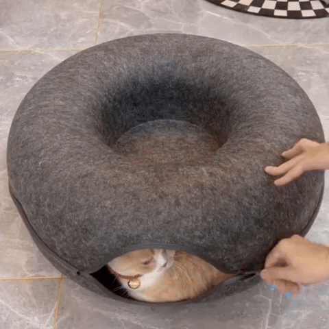 The ” Donut ” Cat Cave