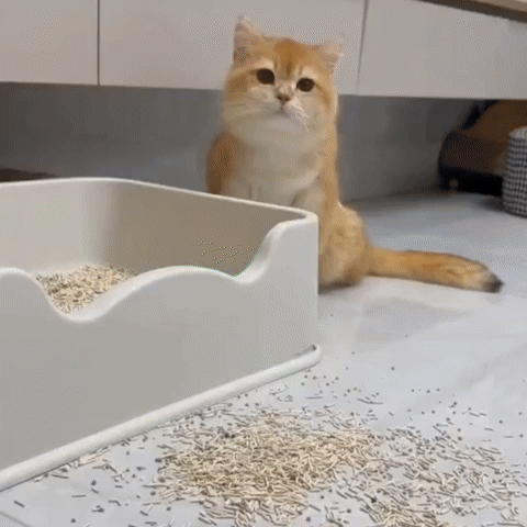 Davende EcoPaw Double Layer Litter Mat 1 giphy ad94aac8 2314 485e a139 bcc7452f3917